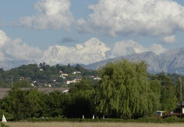 Randonnée A pied Thônex - Pont Bochet - Sierne Veyrier - Photo