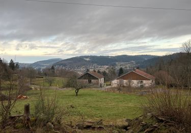 Trail Walking Le Tholy - Sentier de la Roche Au Blaireau depuis le gîte  - Photo