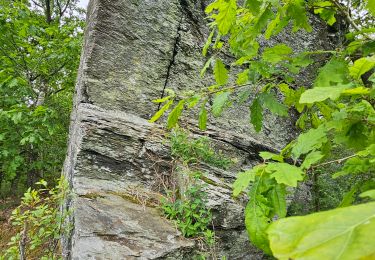 Trail Walking Vresse-sur-Semois - Promenade de la Roche à Campa - Orchimont - Photo