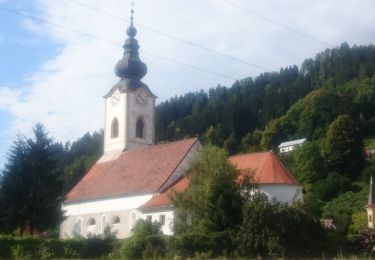 Tocht Te voet Dravograd - Dravograjska pot - Photo