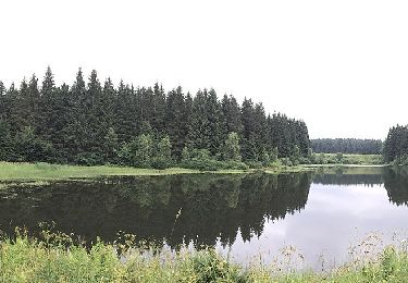 Tour Zu Fuß Clausthal-Zellerfeld - Prinzen / Flambacher Teiche - Photo