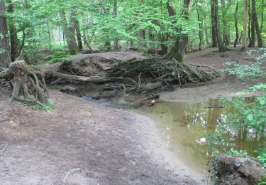 Tour Zu Fuß Dinslaken - Schwarzbach Rundweg A1 - Photo