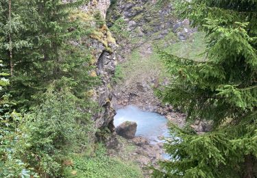 Tour Wandern Saint-Christophe-en-Oisans - Les écrins un jour - Photo