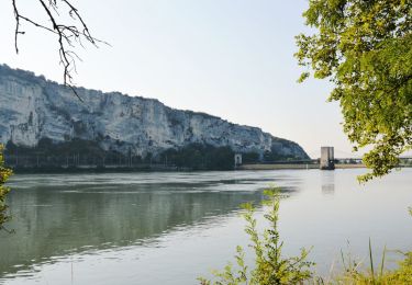 Percorso Marcia Châteauneuf-du-Rhône - Châteauneuf  le Navon 11km. - Photo