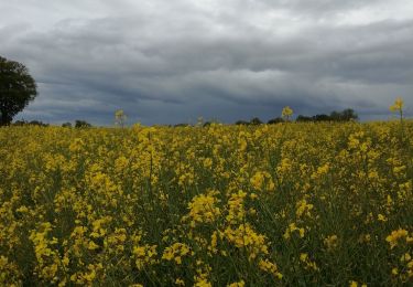 Tocht Stappen Giverville - Autour de Giverville - Photo