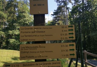 Randonnée Marche Annecy - ANNECY ... le sentier des crêtes. - Photo