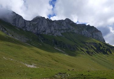 Trail Walking La Chapelle-d'Abondance - lac Badon depuis Bises - Photo