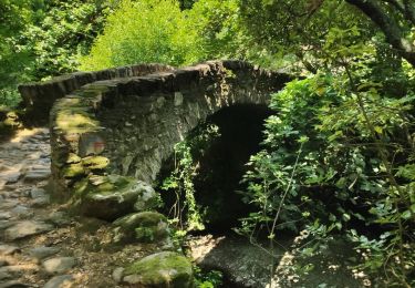 Excursión Senderismo Pietracorbara - tracė tour de Pietracorbara - Photo