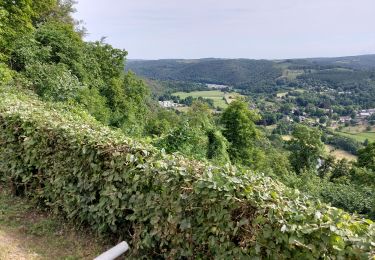 Tocht Stappen La Roche-en-Ardenne - MESA _ 2023 _ Étape 1 _ LA ROCHE-en-ARDENNE _ 27/06/2023 - Photo