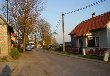 Randonnée A pied Loděnice - [M] Děd - Loděnice - Photo