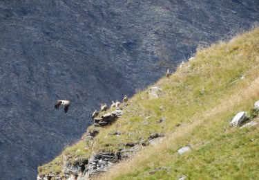 Tocht Stappen Bonneval-sur-Arc - Move_2018_09_04 GR 5 le VILLARON_Marche - Photo