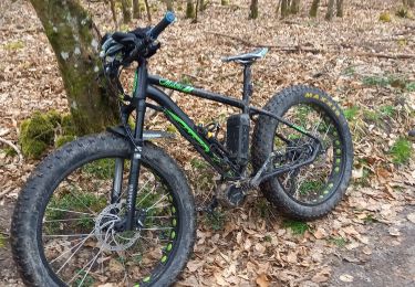 Trail Electric bike Saint-Clément - sortie vtt 19032023 vitrimont  - Photo