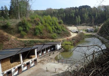 Tour Zu Fuß Chaumont-Gistoux - #200504 - Gistoux, Brûlotte, Babaures, Bois de Chaumont et Sentier de la Vallée**** - Photo