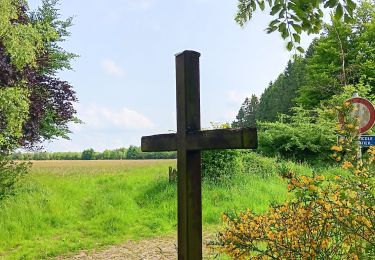 Trail Walking Theux - au sud de Bronrome  - Photo