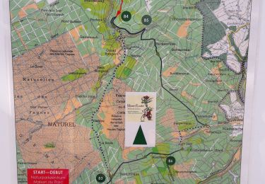 Percorso Bici da strada Waimes - Sentiers des tourbières - Photo