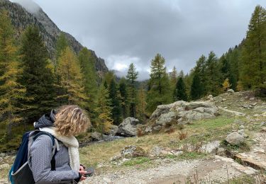 Trail Walking Saint-Martin-Vésubie - Le Boreon  - Photo