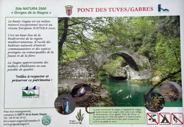 Trail Walking Montauroux - Gorges de la Siagne 3 - Photo