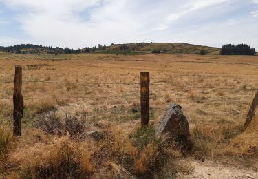 Trail Walking Peyre en Aubrac - GR65 j2 - Photo