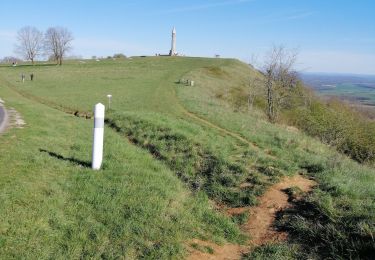 Trail Walking Saxon-Sion - sion  - Photo