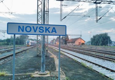 Excursión A pie Novska - Novska - Novsko brdo (sjeverni put) - Photo