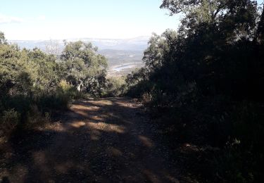 Tour Wandern Fréjus - Lac de L'Avellan - Photo