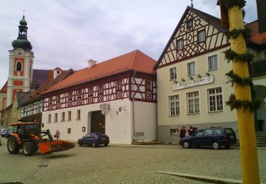 Excursión A pie Neualbenreuth - Ringelfelsen-Weg - Photo