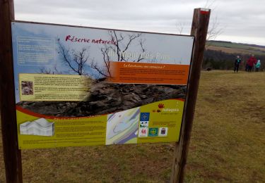 Trail Walking Durbuy - Sur les dessus de Bomal - Photo