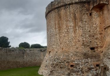 Trail Walking Salses-le-Château - citadelle de Salse  - Photo