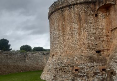 Excursión Senderismo Salses-le-Château - citadelle de Salse  - Photo