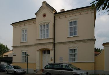 Tocht Te voet Gemeinde Tattendorf - Triestingau-Wanderweg - Photo