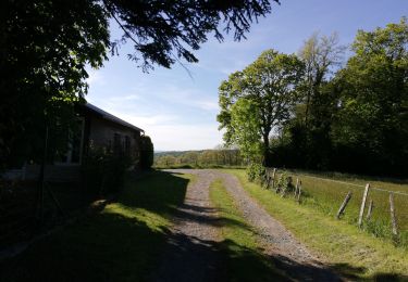 Trail Walking Lourdes - LOURDES tour Du lac de Lourdes le vrai  - Photo