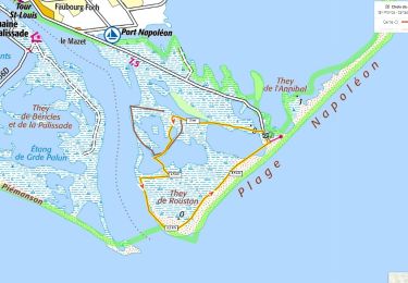 Tour Wandern Port-Saint-Louis-du-Rhône - They de Roustan + Plage Napoléon  - Photo