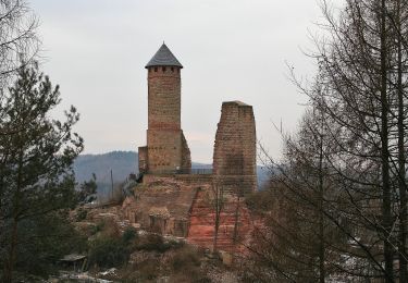 Excursión A pie Kirkel - Kirkeler Felsenpfad - Photo