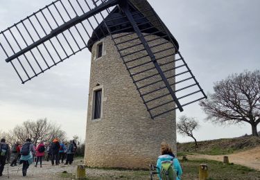 Tour Wandern Santenay - Santenay Le Moulin de Santenay page 165 - Photo