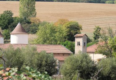 Tocht Te voet Sainte-Geneviève - Boucle de la Colline - Photo