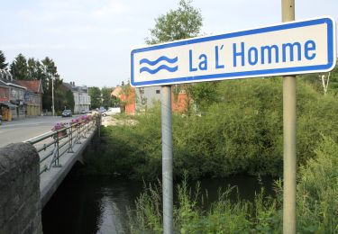 Randonnée A pied Nassogne - 8. Promenade Saint-Martin - variante - Photo