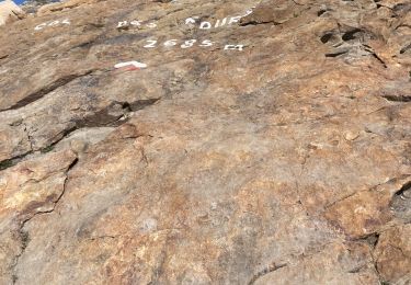 Tocht Stappen Bourg-Saint-Maurice - Les chapieux-col des four  - Photo