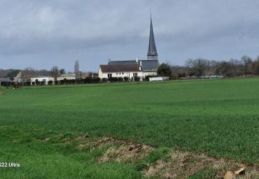 Randonnée Marche Ouzouer-sur-Trézée - ouzouer-sur-Treze 45 avec Coco  - Photo