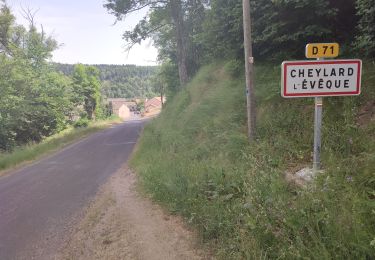 Tocht Stappen Saint-Flour-de-Mercoire - le chélard - Photo