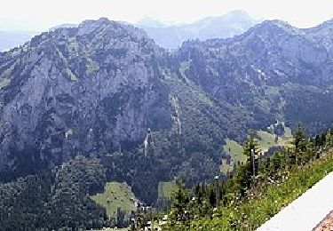 Tocht Te voet Glarus Nord - Hirzli-Rundweg - Photo