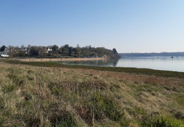 Trail Walking Le Minihic-sur-Rance - Chemin des landriers - Photo