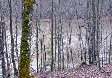 Percorso A piedi Ammerbuch - Brentenhauweg - Photo