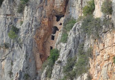 Trail Walking Cabasse - Cabasse-27-10-2021 - Photo