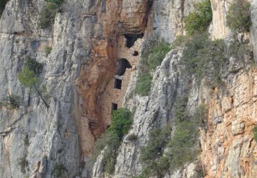 Excursión Senderismo Cabasse - Cabasse-27-10-2021 - Photo