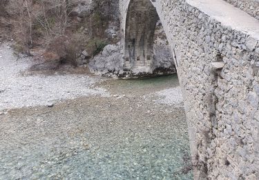 Tour Wandern Rougon - 2023-02-24 Pont de Tusset - Rancoumas - Entreverges  - Photo