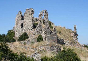 Tour Wandern Saint-Laurent-du-Pape - 2019-12-14_18h55m18_St Laurent du Pape 13km variante - Photo