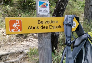 Trail Walking Annot - Les Grès d'Annot - Photo