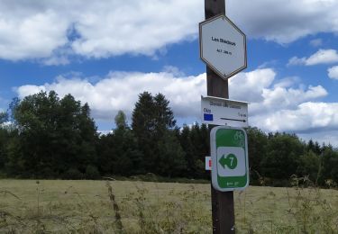 Percorso A piedi Bièvre - Oizy - Les Blédoux - Photo