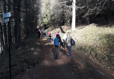 Trail Walking Geishouse - 2019.12.04.Geishouse - Photo