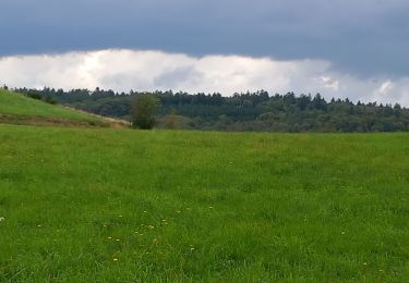 Excursión Senderismo Saint-Nabord - st nabord fallieres marche du chateler - Photo